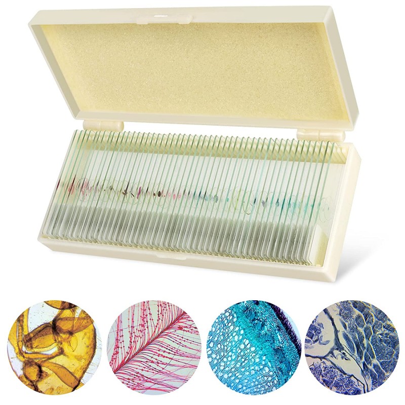 Preparaattisarja 50kpl