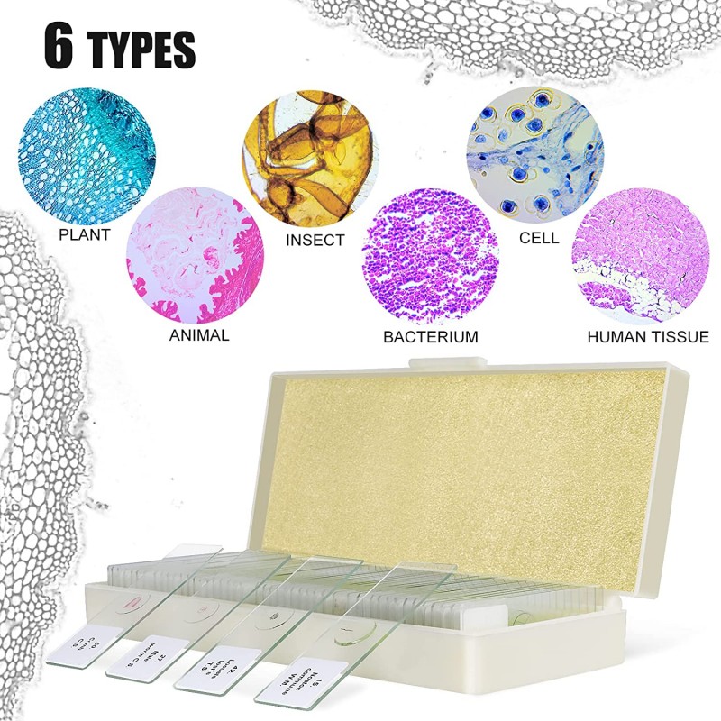Preparaattisarja 50kpl