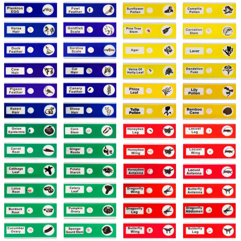 Lasten preparaattisarja 48 kpl