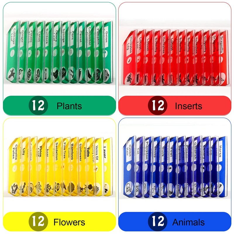 Lasten preparaattisarja 48 kpl