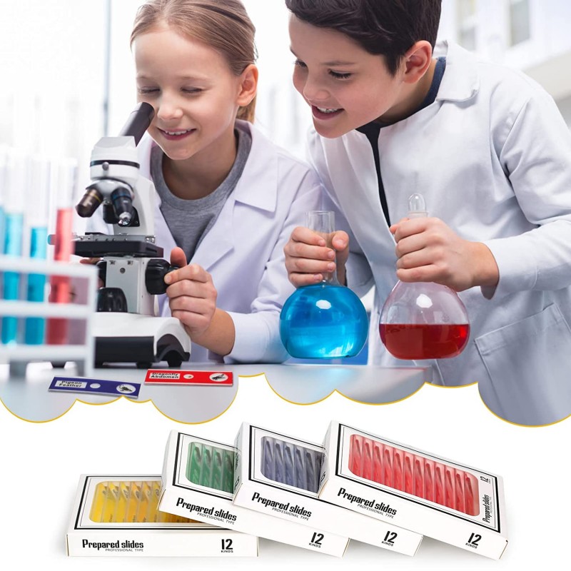 Lasten preparaattisarja 48 kpl