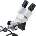 Stereomikroskooppi Gold