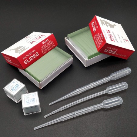 Aluslasi ja peitinlasi setti