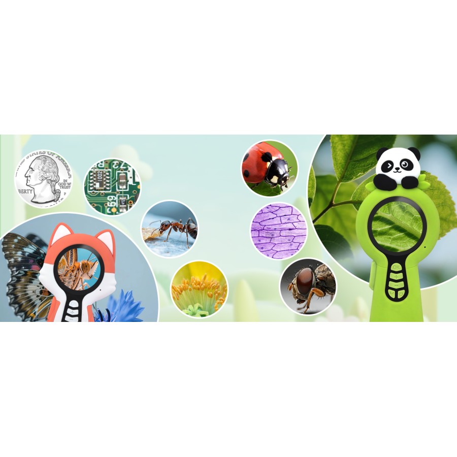 Lasten endoskooppi 2in1 Deluxe