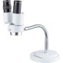 Stereo-Microscope jewel
