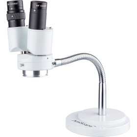 Stereo-Microscope jewel