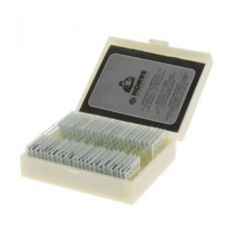 Preparaattisarja Lizards, Birds and Snakes (10 Pcs)