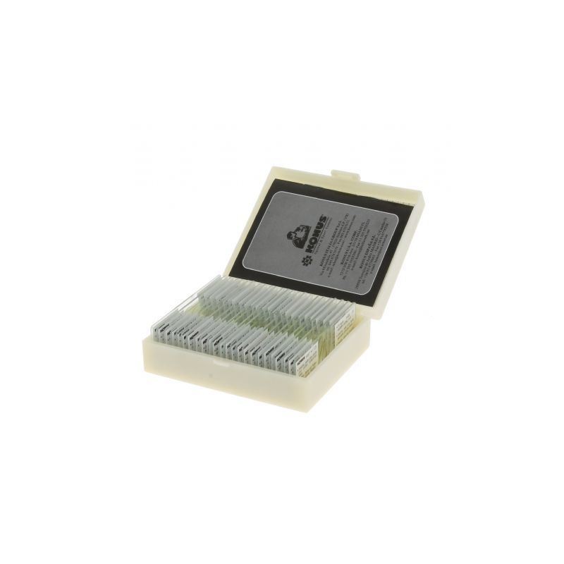 Preparaattisarja Lizards, Birds and Snakes (10 Pcs)