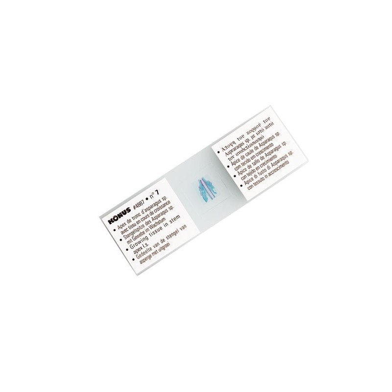 Preparaattisarja Lizards, Birds and Snakes (10 Pcs)